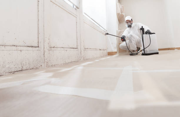 24/7 Emergency Black Mold Remediation experts in Graham, TX