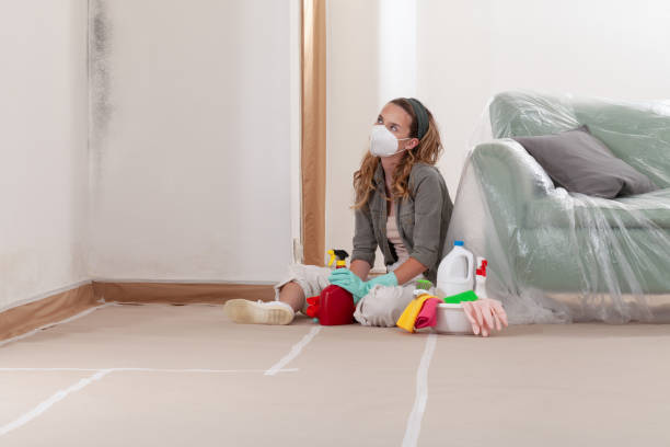 Reliable Black Mold Remediation contractor in Graham, TX by Mold Remediation HQ